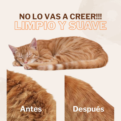 💨 El cepillo a vapor que transforma el cuidado de tu mascota 🐾